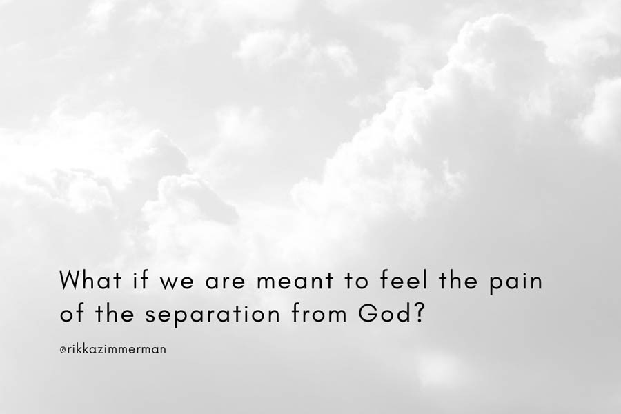 Read more about the article What if we are meant to feel the pain of the separation from God?