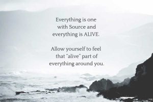 Read more about the article Everything Is Alive