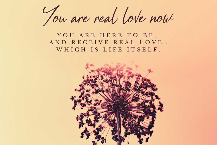Read more about the article You Are Real Love Now